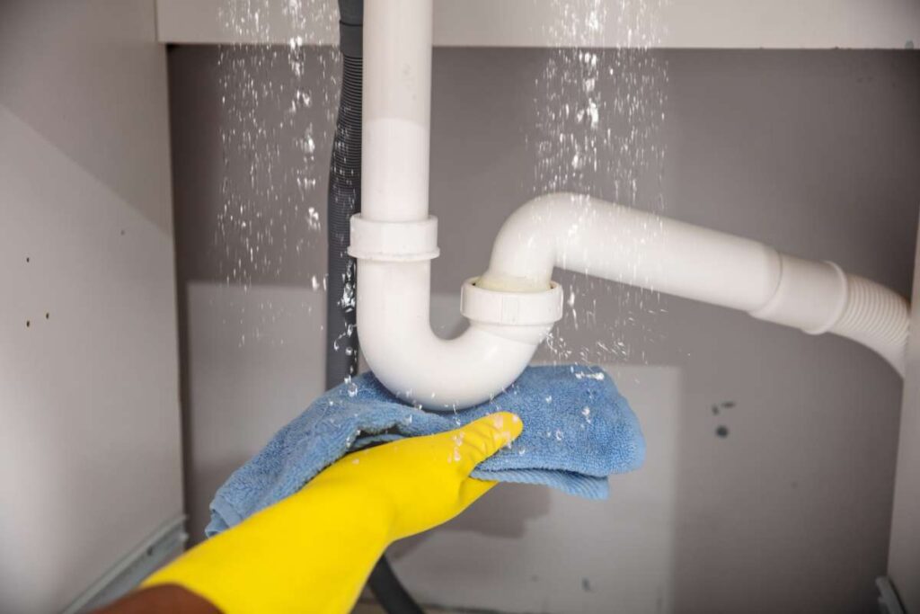 Ricerca perdite acqua Piacenza